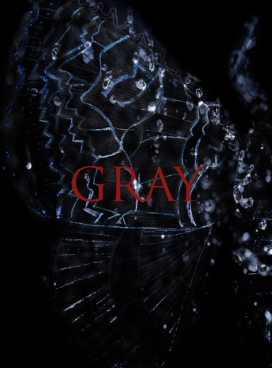 Gray Book Cover